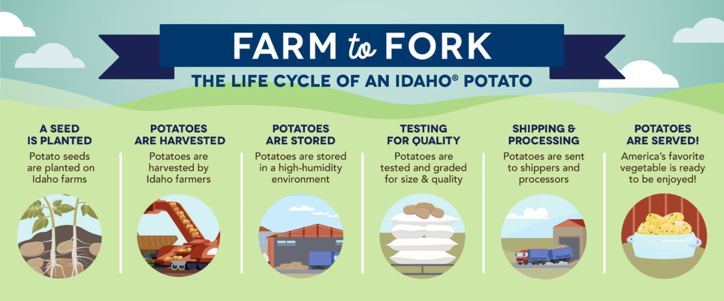 Farm to Fork Infographic. The life cycle of an Idaho® Potato